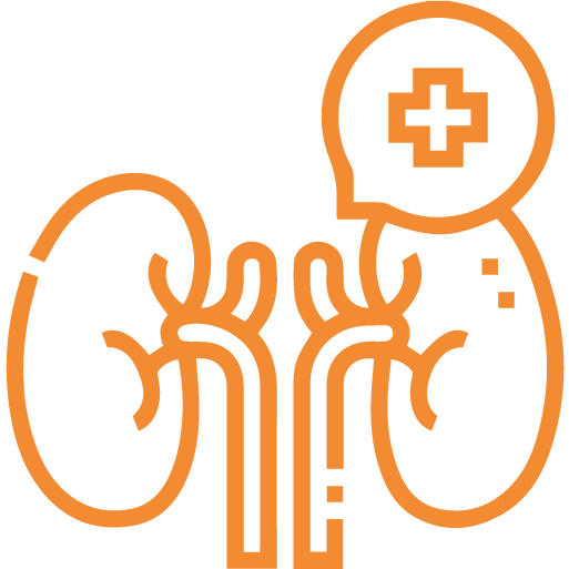icon Nephrology